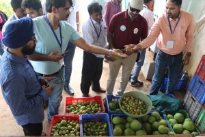 Vegetables-and-fruits-inspection-on-VNR-farms-Durg