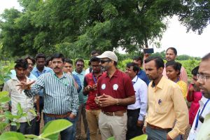 A-visit-to-VNR-seeds-farm-guided-by-Mr-Vipin-Sharma-Farm-manager-VNRseeds-Pvt-Ltd-Durg-1